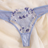 Sexy Erotic Lingerie Women Bra And Panty 2pcs See Through Lingerie Sets Sexy Women's Underwear Set Sexy Costumes 2023
