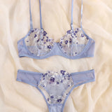 Sexy Erotic Lingerie Women Bra And Panty 2pcs See Through Lingerie Sets Sexy Women's Underwear Set Sexy Costumes 2023