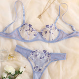 Sexy Erotic Lingerie Women Bra And Panty 2pcs See Through Lingerie Sets Sexy Women's Underwear Set Sexy Costumes 2023